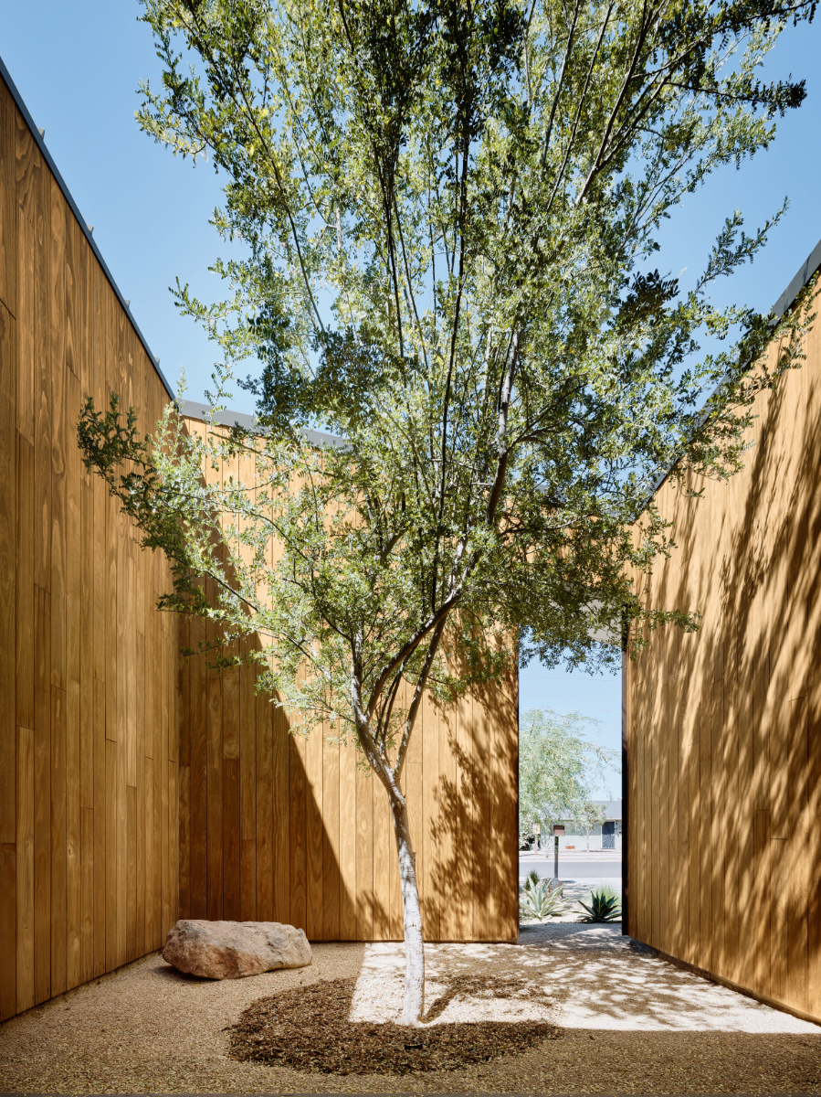 a courtyard with wood siding and a tree