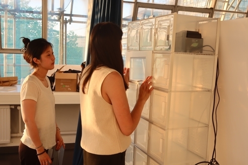 Two women placing a white cardboard on large storefront.