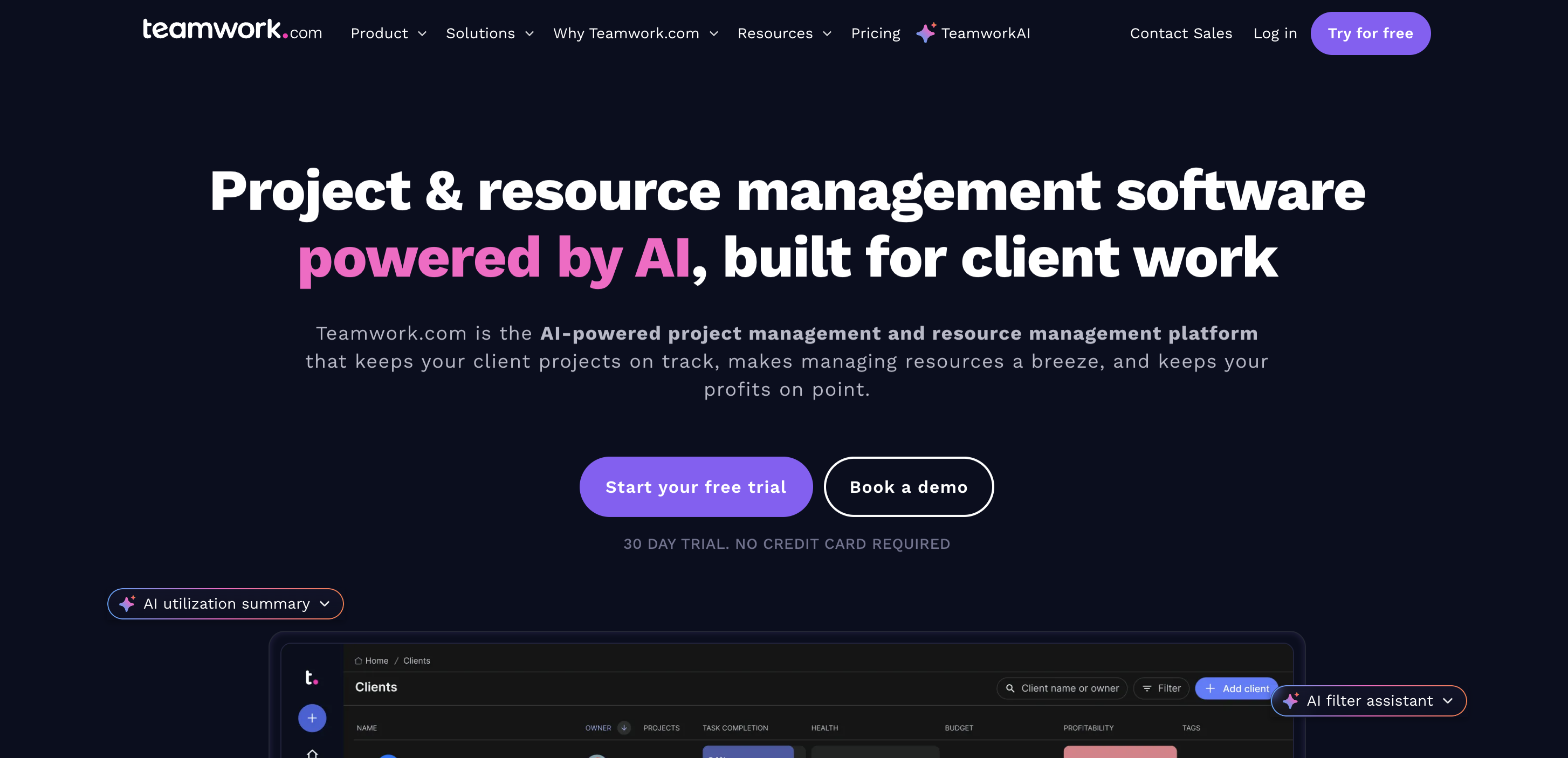 screenshot Teamwork Platform 