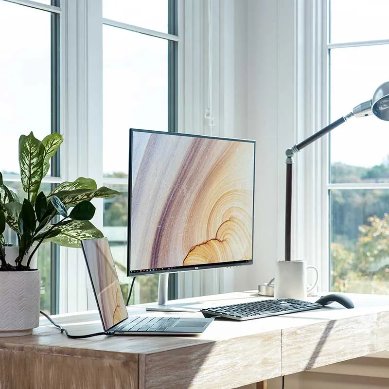 Modern workspace with a laptop connected to a separate monitor displaying a wood grain pattern, a black keyboard, mouse, desk lamp, white mug, and a potted plant near large windows with natural light.