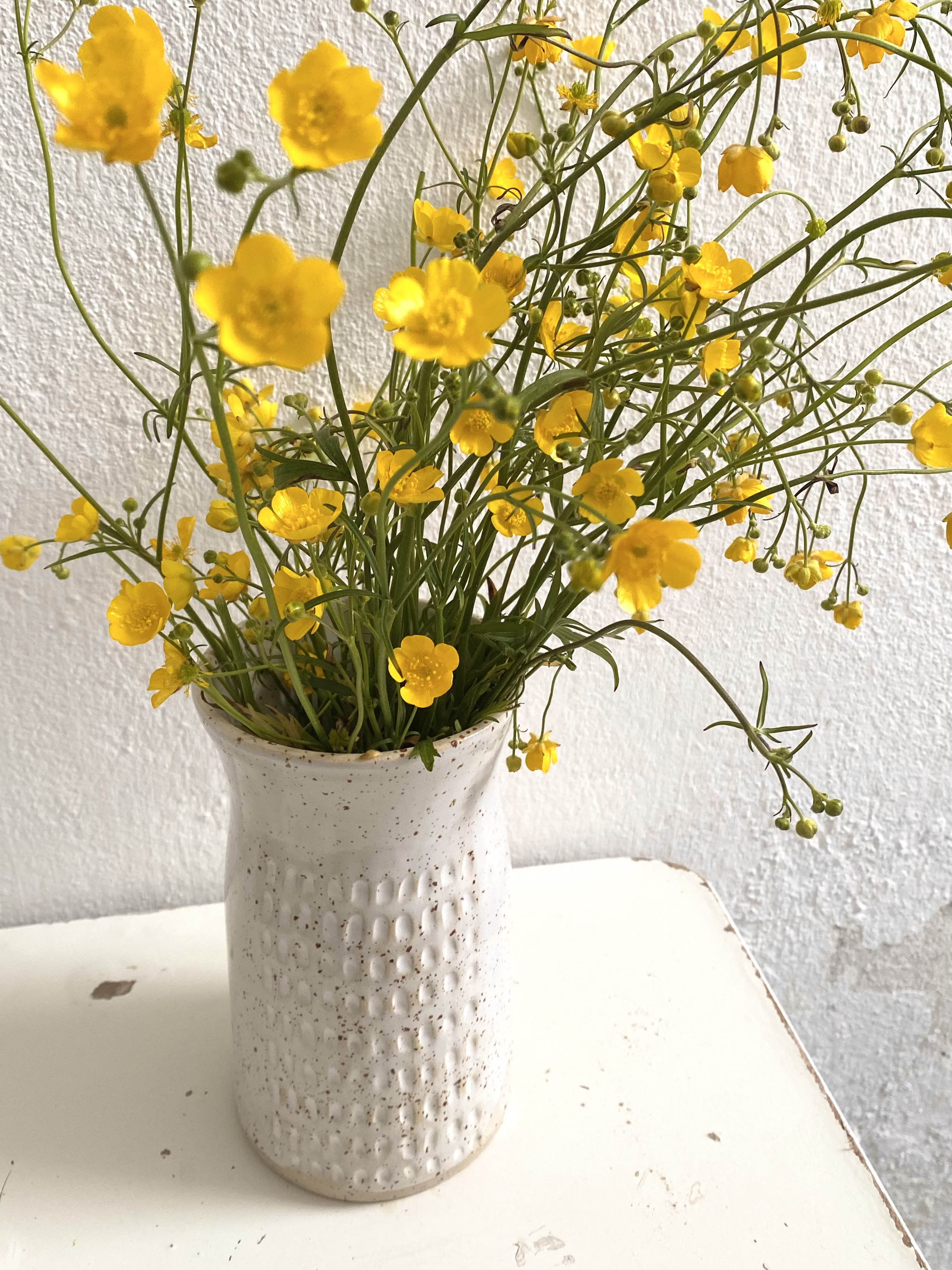 Volcano view from top of hill