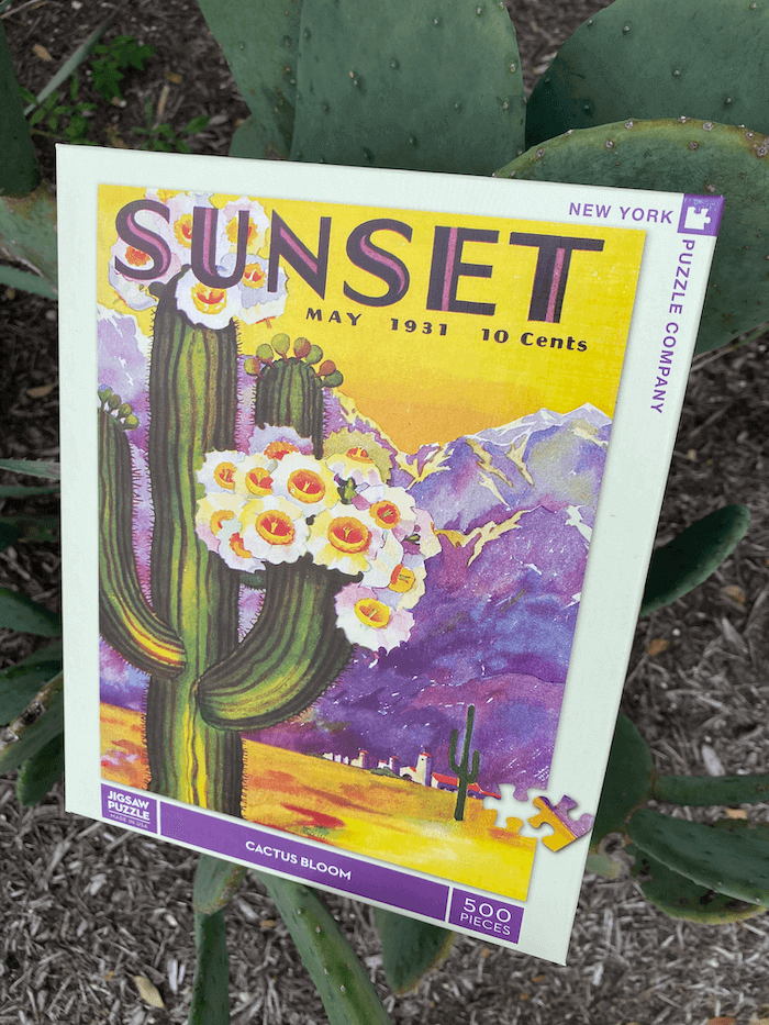 Cactus BloomPuzzle