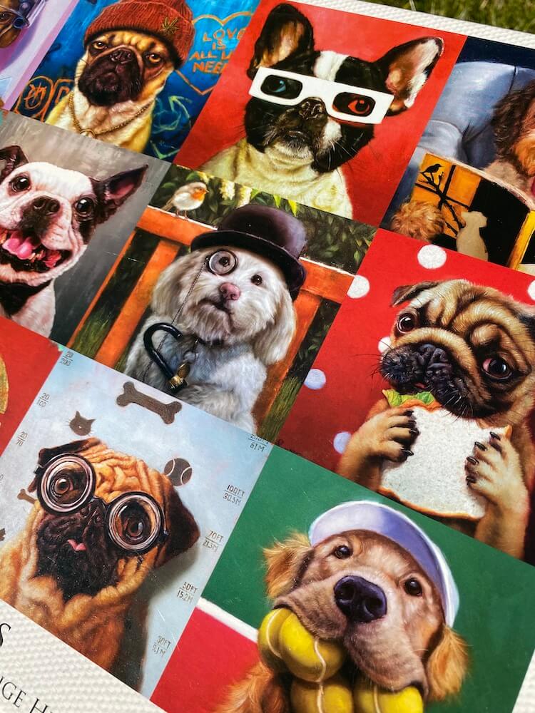 Puzzle box showing multiple dogs in boxes dressed as humans