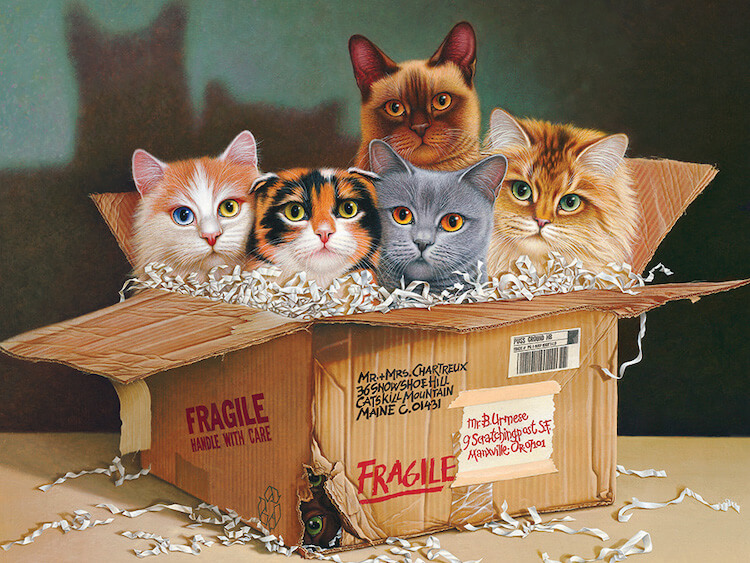 5 cats in a cardboard box with a sixth one peeking through a broken corner