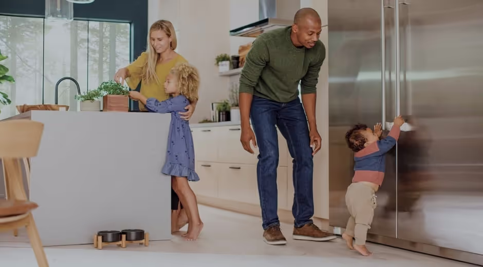 Helped Electrolux to improve customer experience 