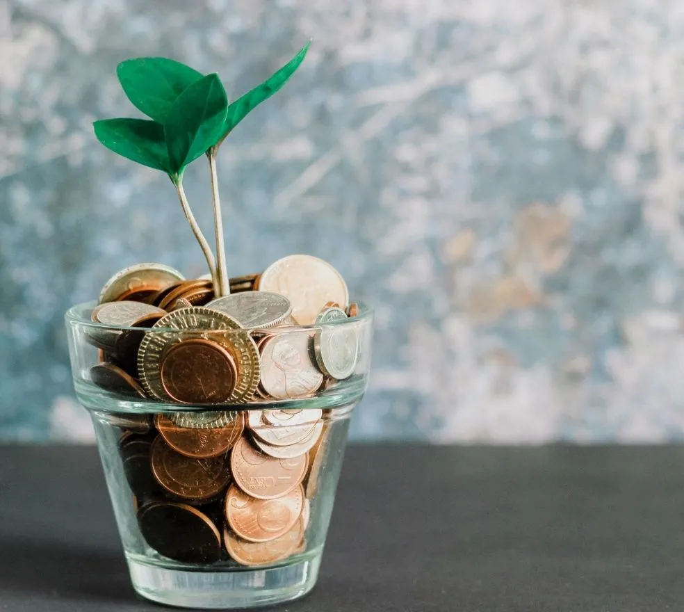 Un vase avec des pièces de monnaies et une pouce de plante