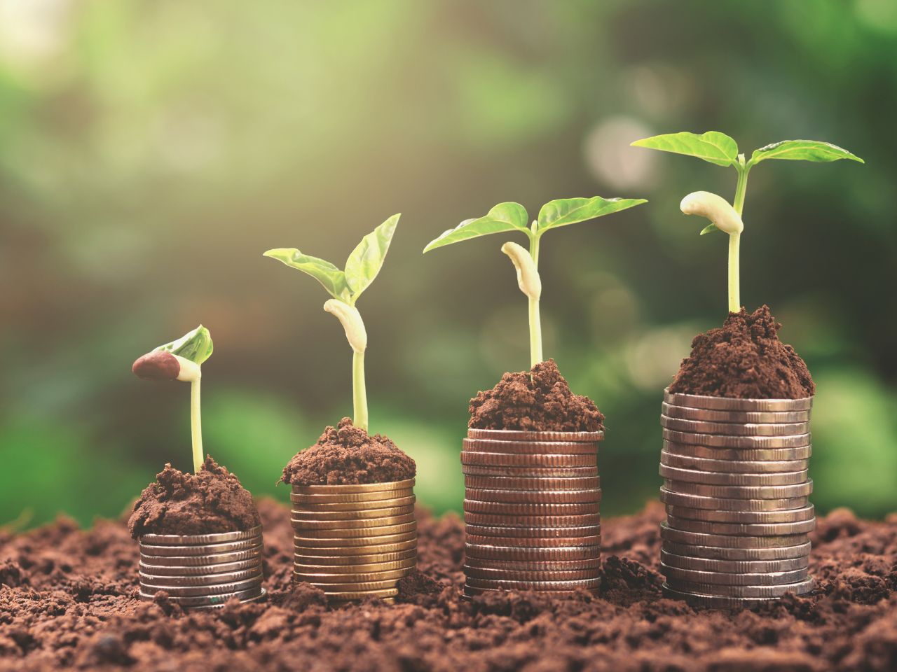 La finance carbone est-elle un levier crédible pour les entreprises ou un outil cosmétique ? Décryptage.