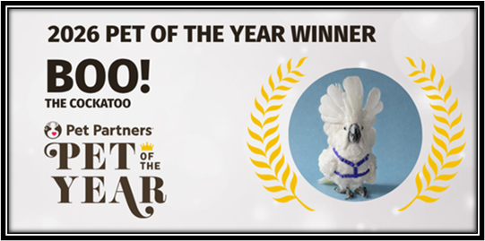 Introducing Pet Partners "Pet of the Year - 2026" - Boo the Cockatoo!