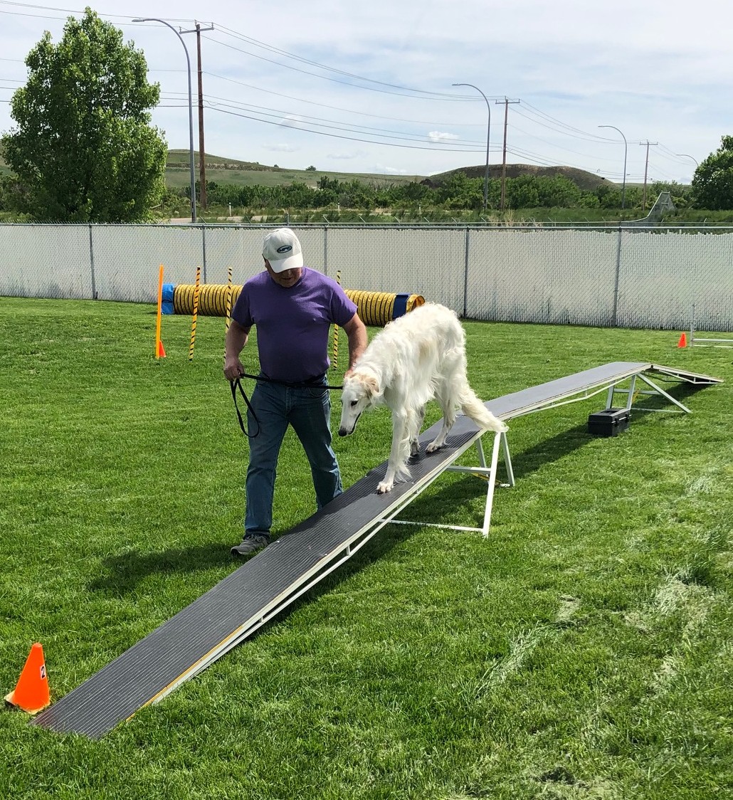 Agility Fun Day - June 13, 2026