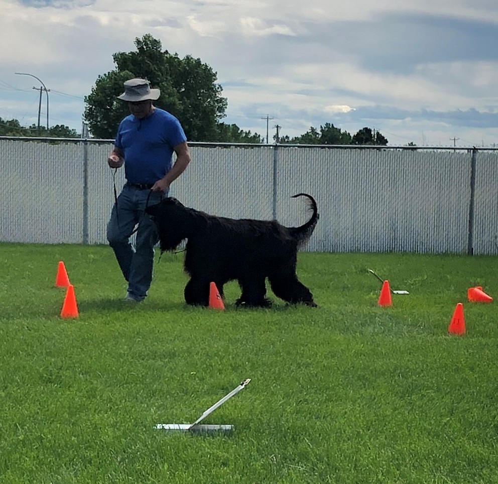 Rally Obedience Fun Day - July 4, 2026