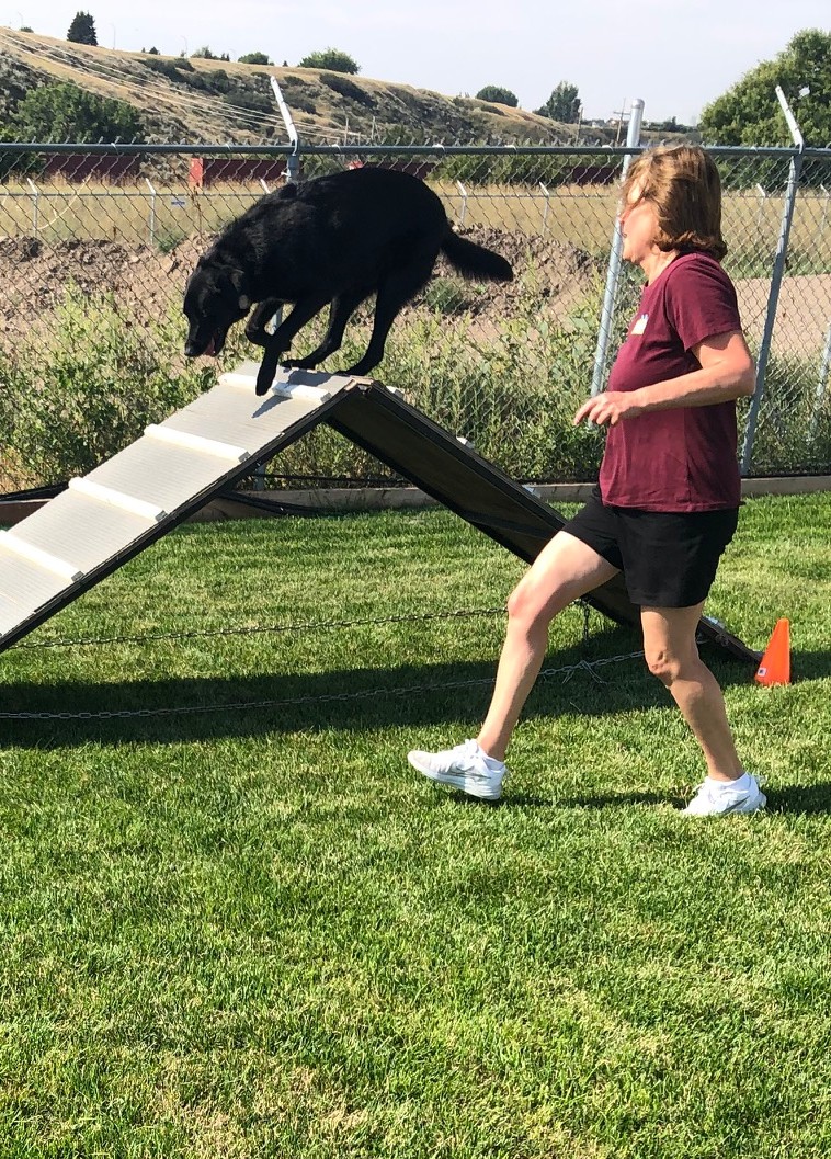 Agility Fun Day - August 22, 2026