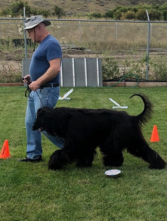Rally Obedience Fun Day  
