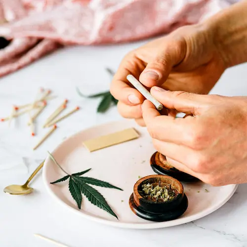 Hands rolling a cannabis joint above a white plate with cannabis leaves and grinder with ground cannabis flower over a blurred background with matches and a pink textile