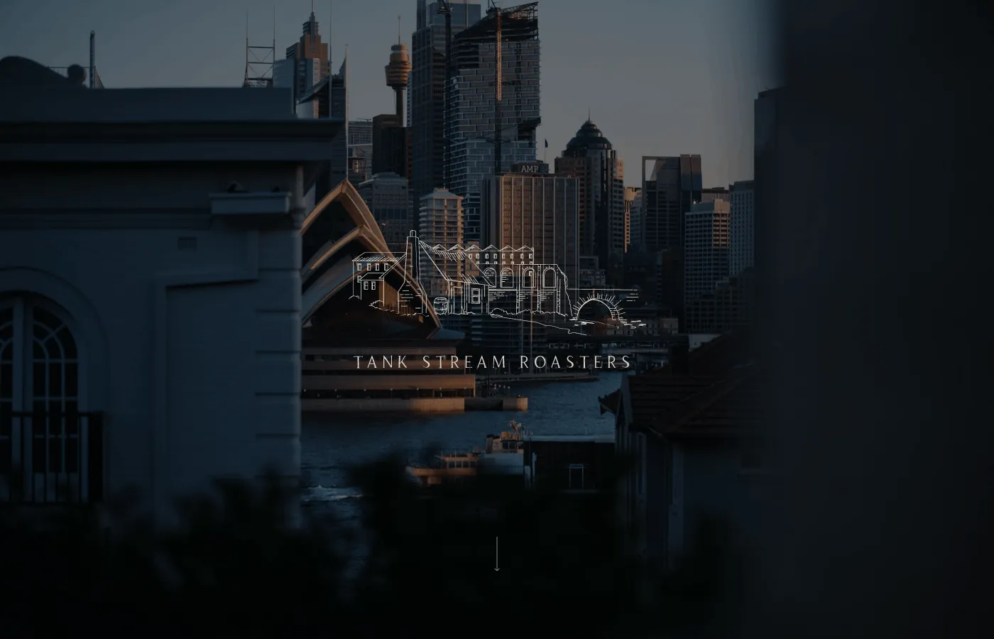 Webflow design for Sydney-based speciality coffee brewers