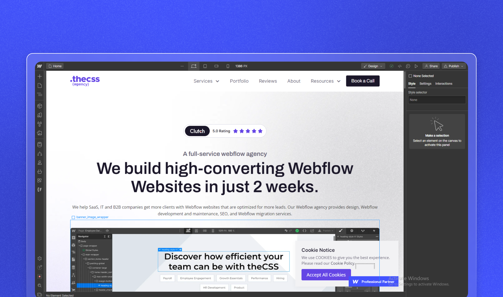 Webflow Website Development