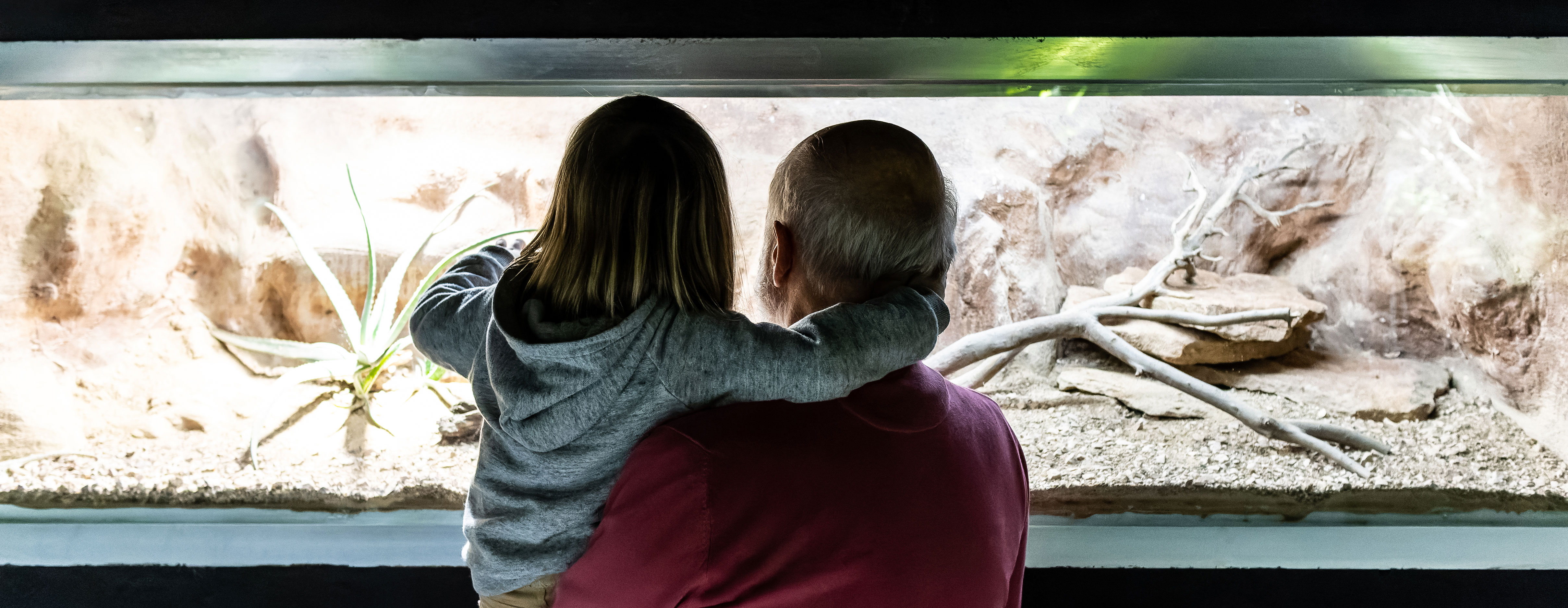Top Grandkid-Approved: 5 Fun Activities for Family Visits