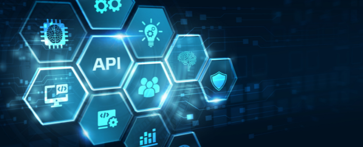 What is API? Why You Should Develop Custom API for Your Business