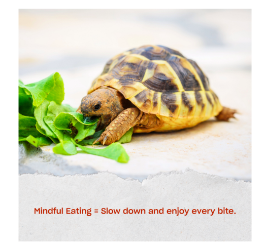 The Role of Mindful Eating in Weight Management