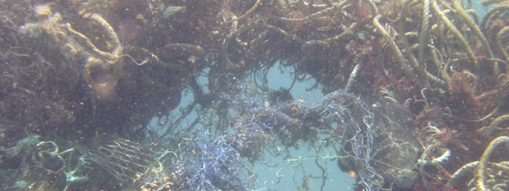Ocean Plastics Leadership Summit