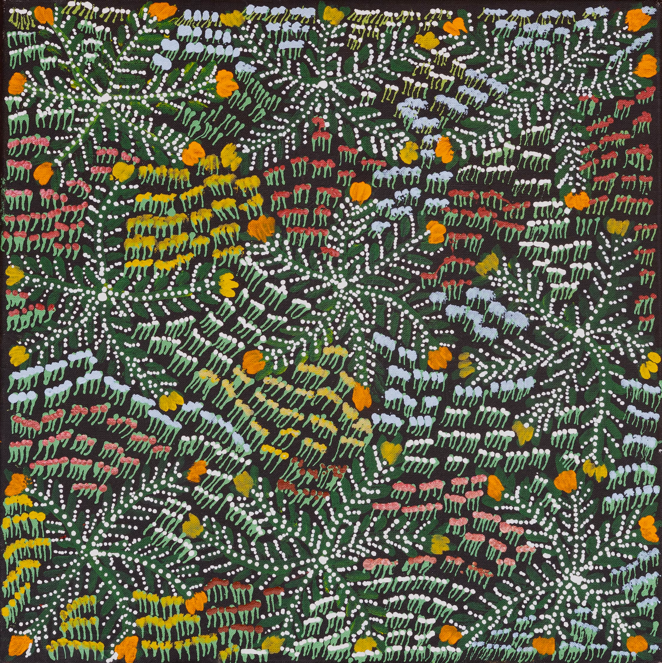 Lucky Kngwarray Morton