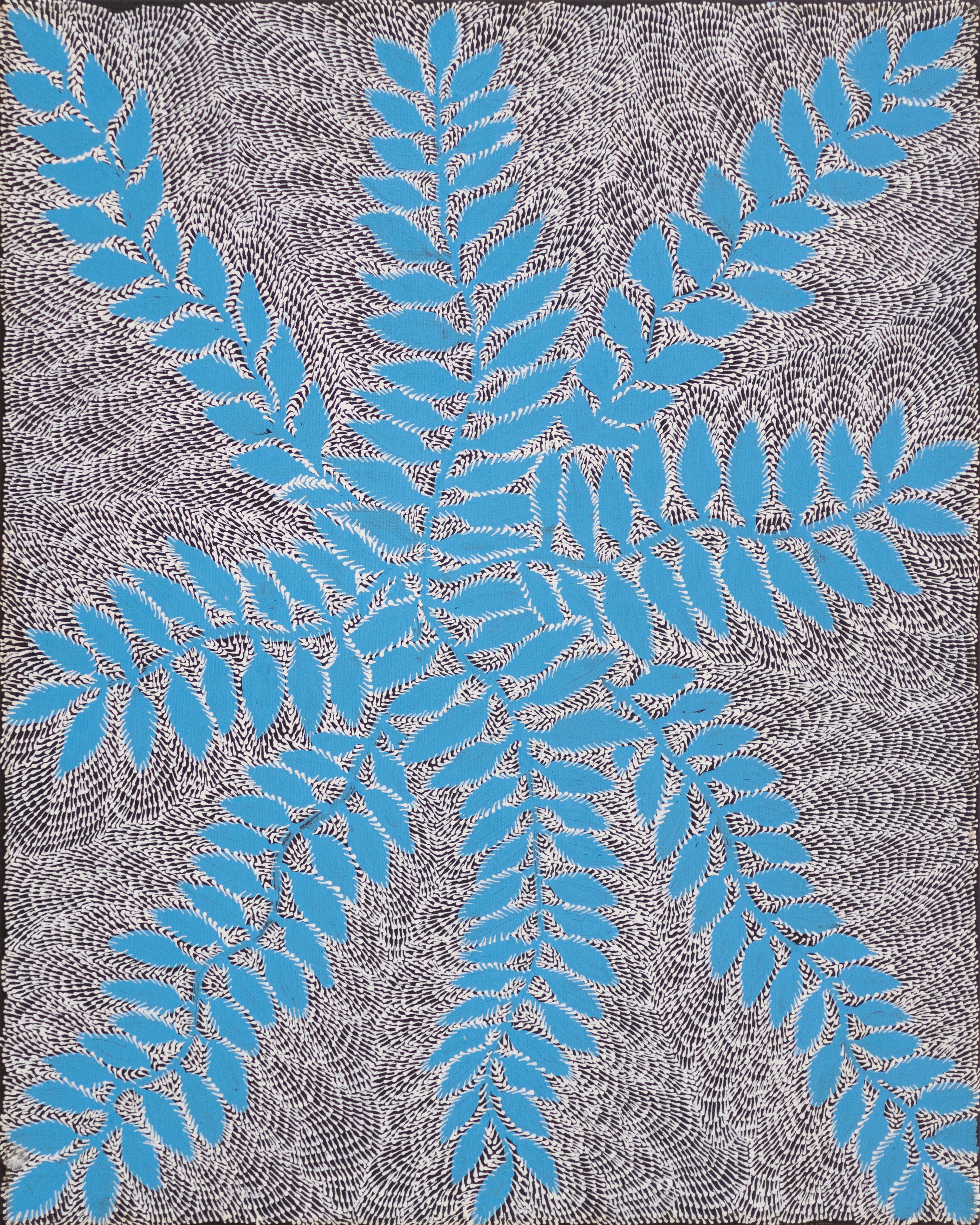 Topsy Pula Jones