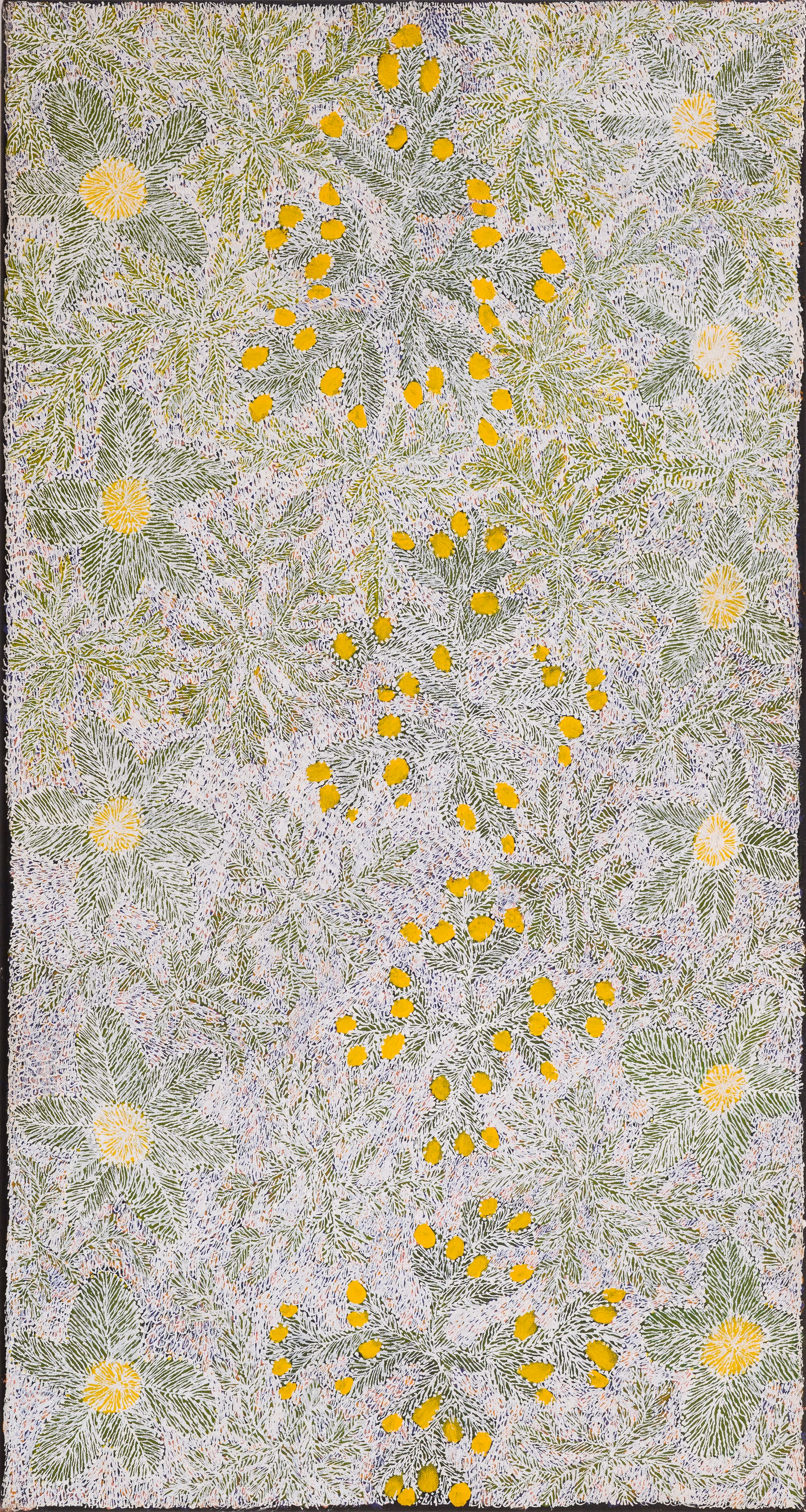 Audrey Kngwarreye Morton