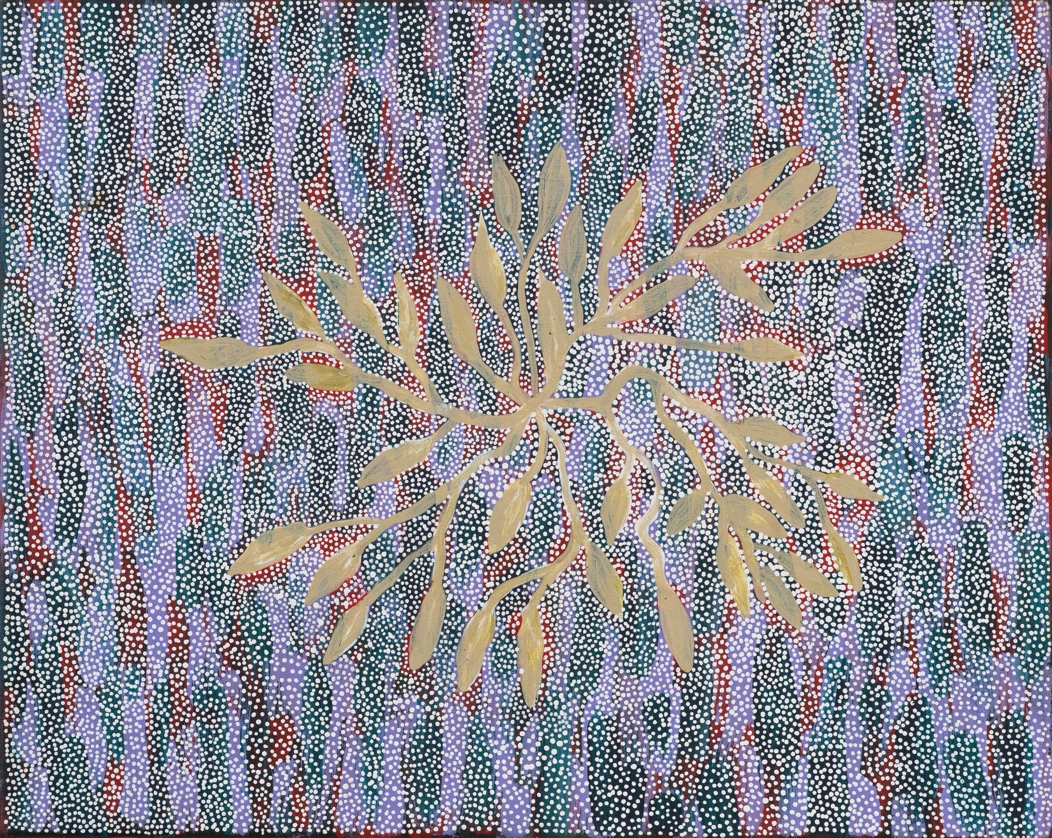 Jocelyn Pitjara Jones 