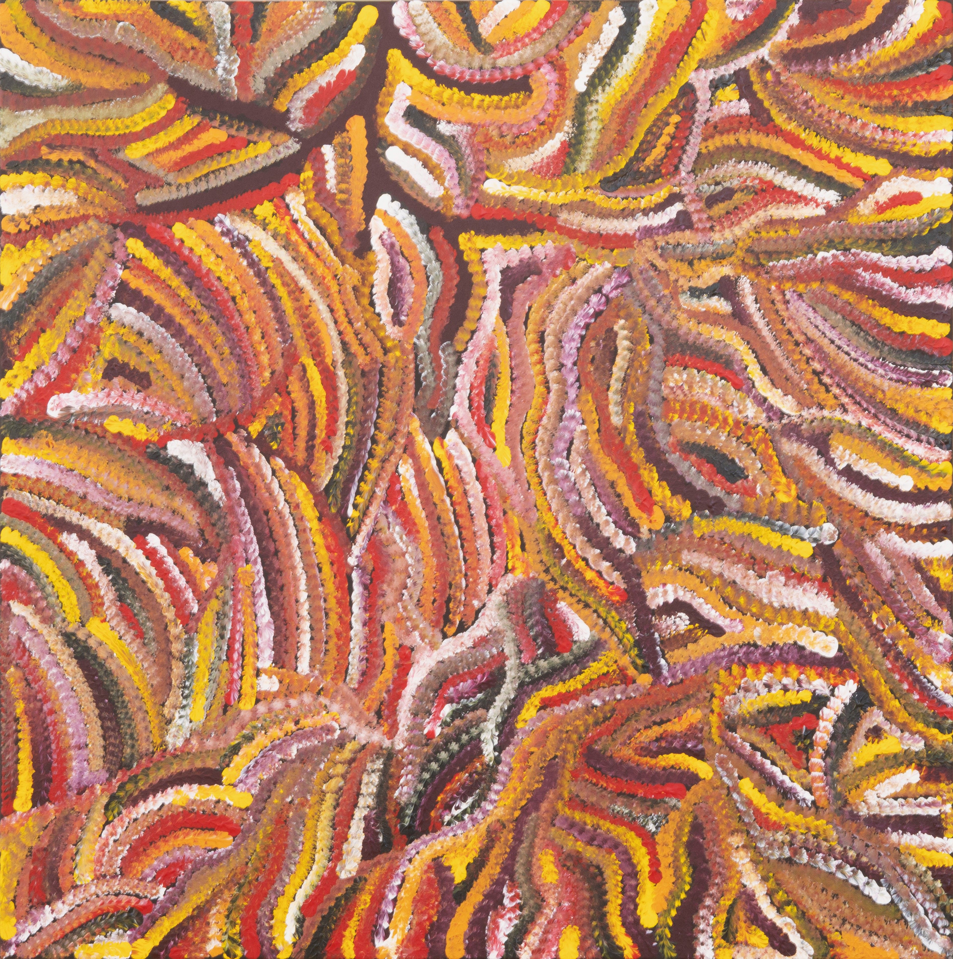 Jedda Kngwarray Purvis