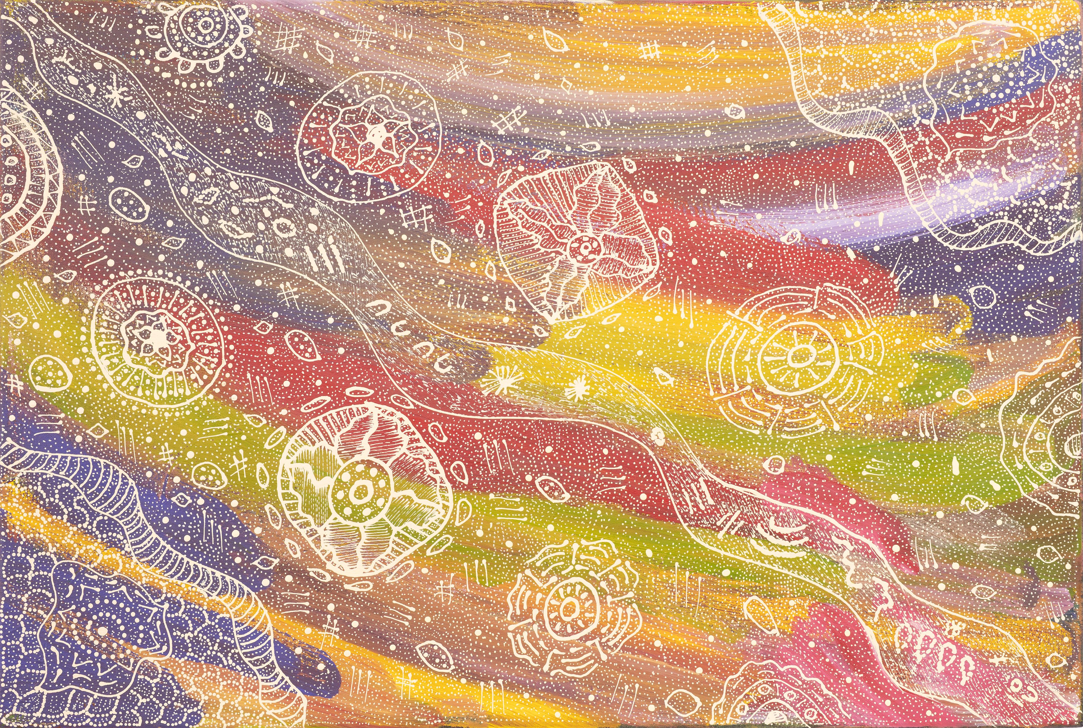 Jennifer Kngwarray Purvis