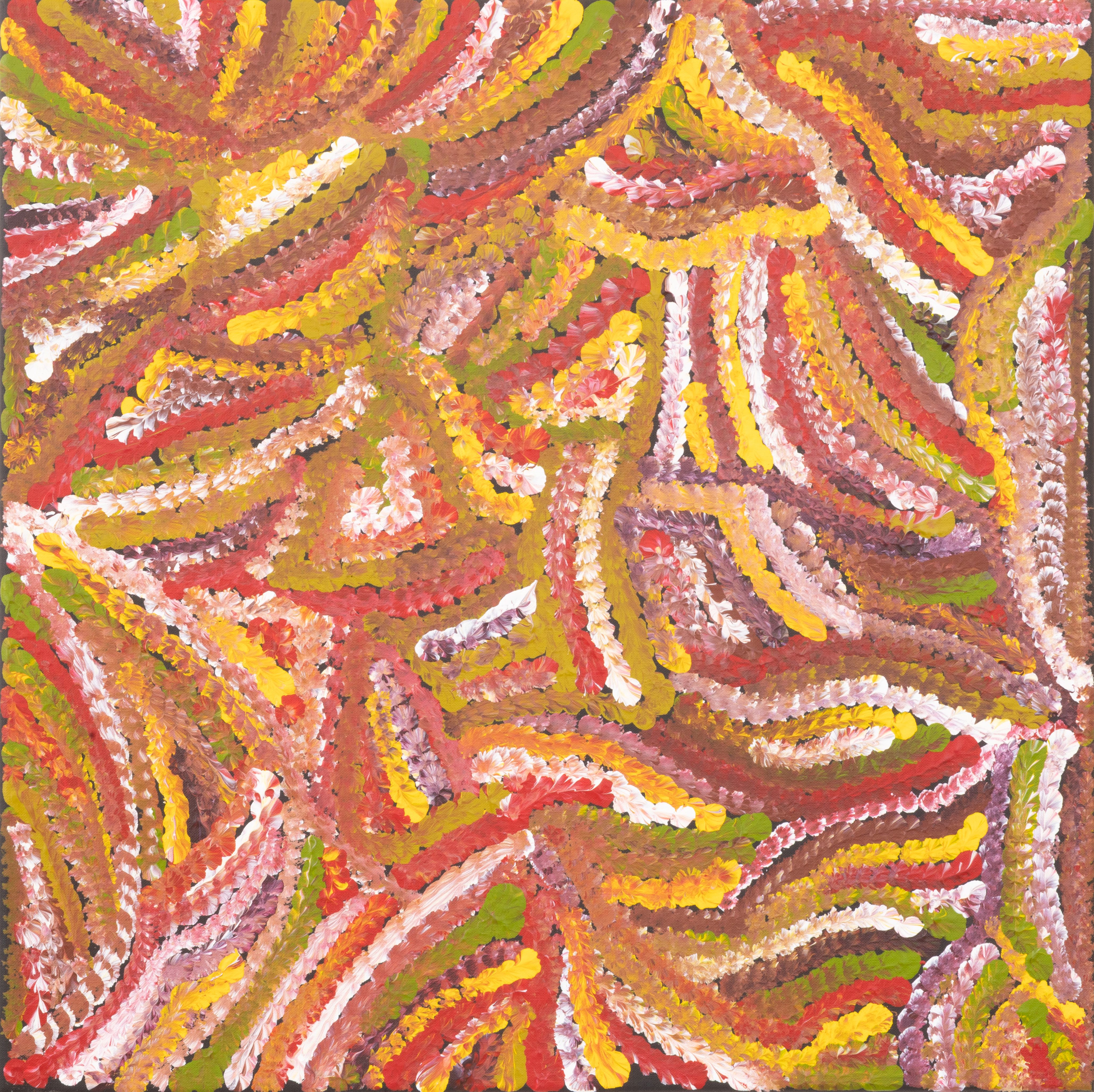 Jedda Kngwarray Purvis