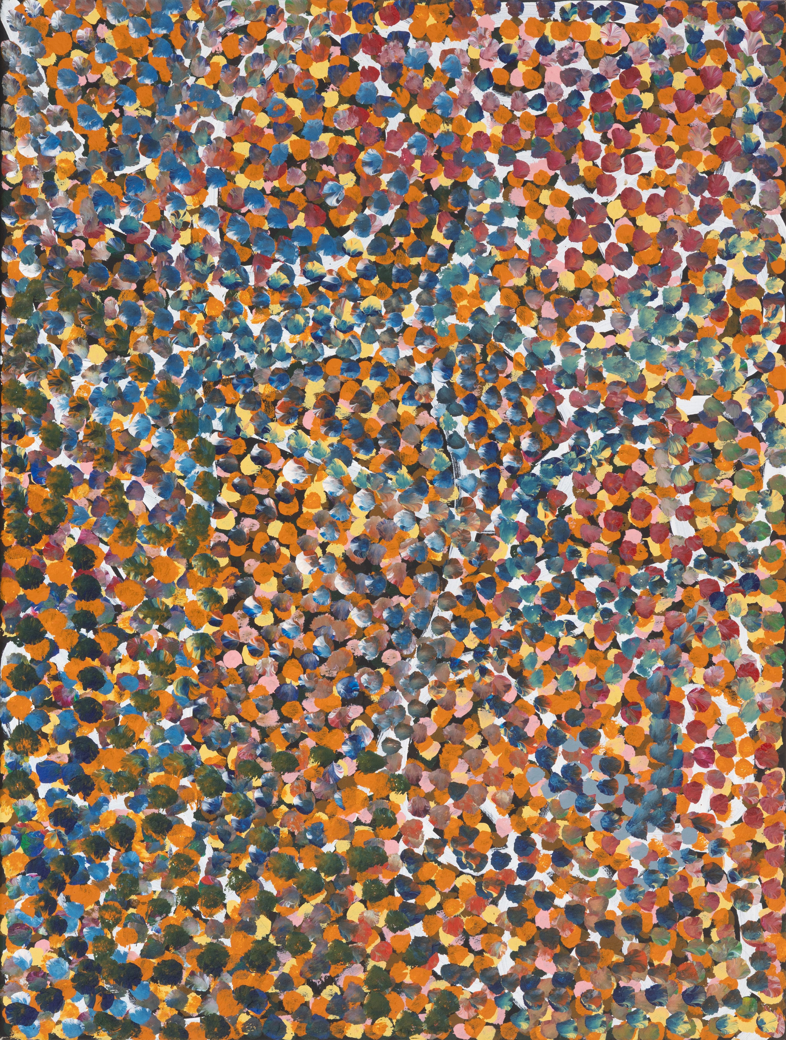 Judy Kngwarray Greenie