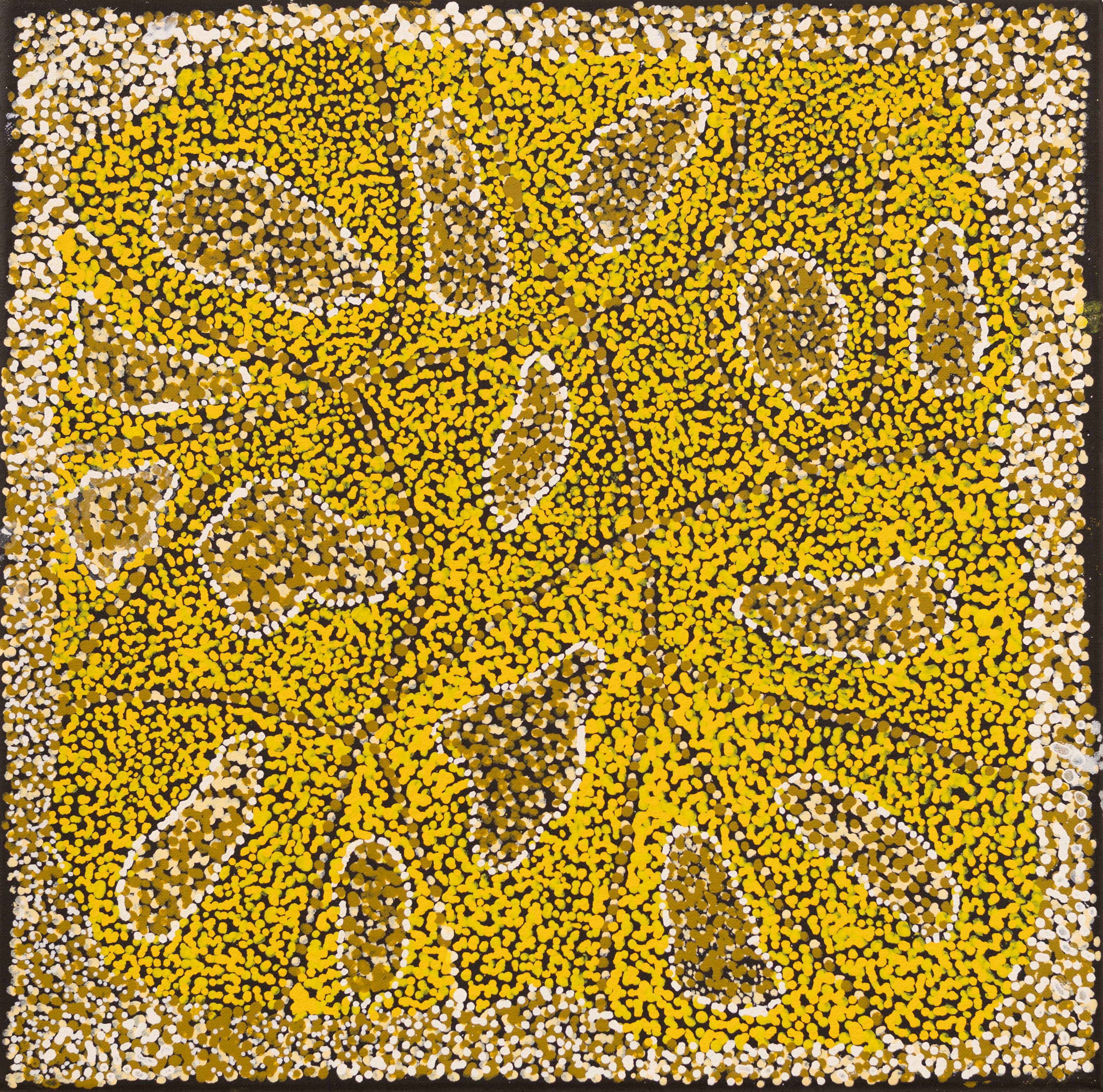 Louisa Kngwarreye Long
