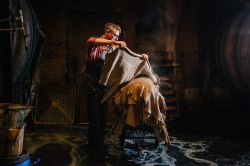 the central grazing company's regenerative farm in lawrence kansas