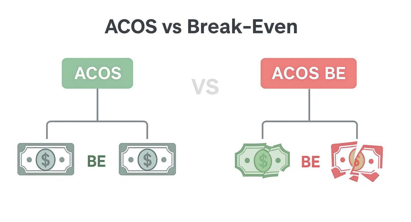 Infographic showing a decision tree for ACOS vs. Break-Even point, with one branch for profitable and one for unprofitable campaigns.