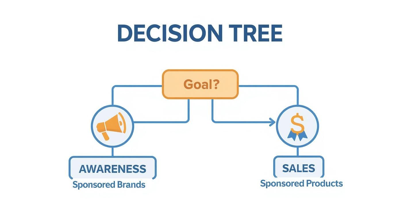 Infographic about improve sales on amazon