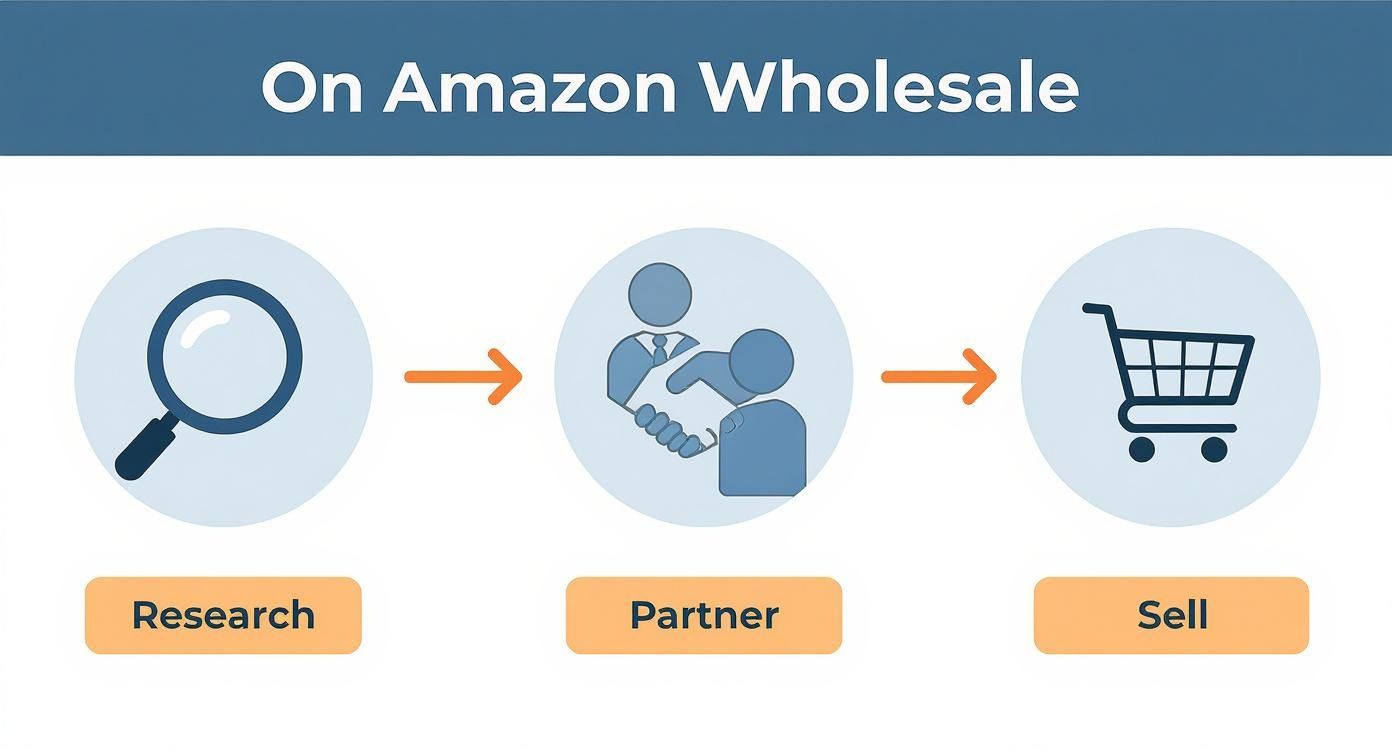 Infographic about how to sell wholesale on amazon