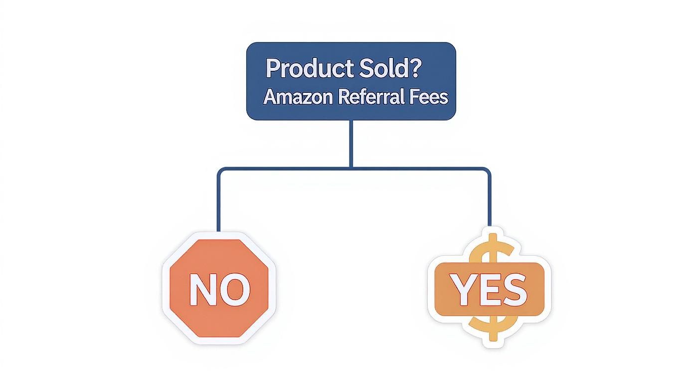 Infographic about how much does amazon cost to sell
