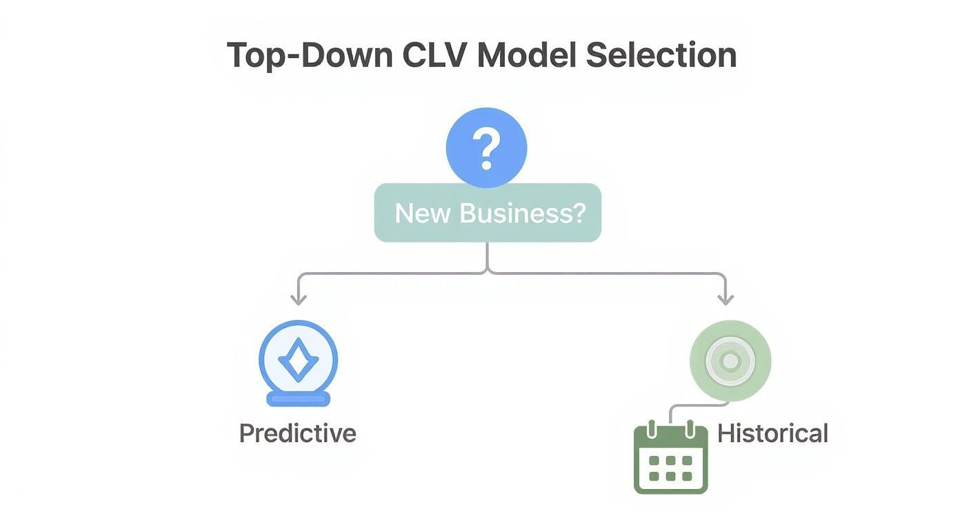 Flowchart showing top-down customer lifetime value model selection process between predictive and historical approaches