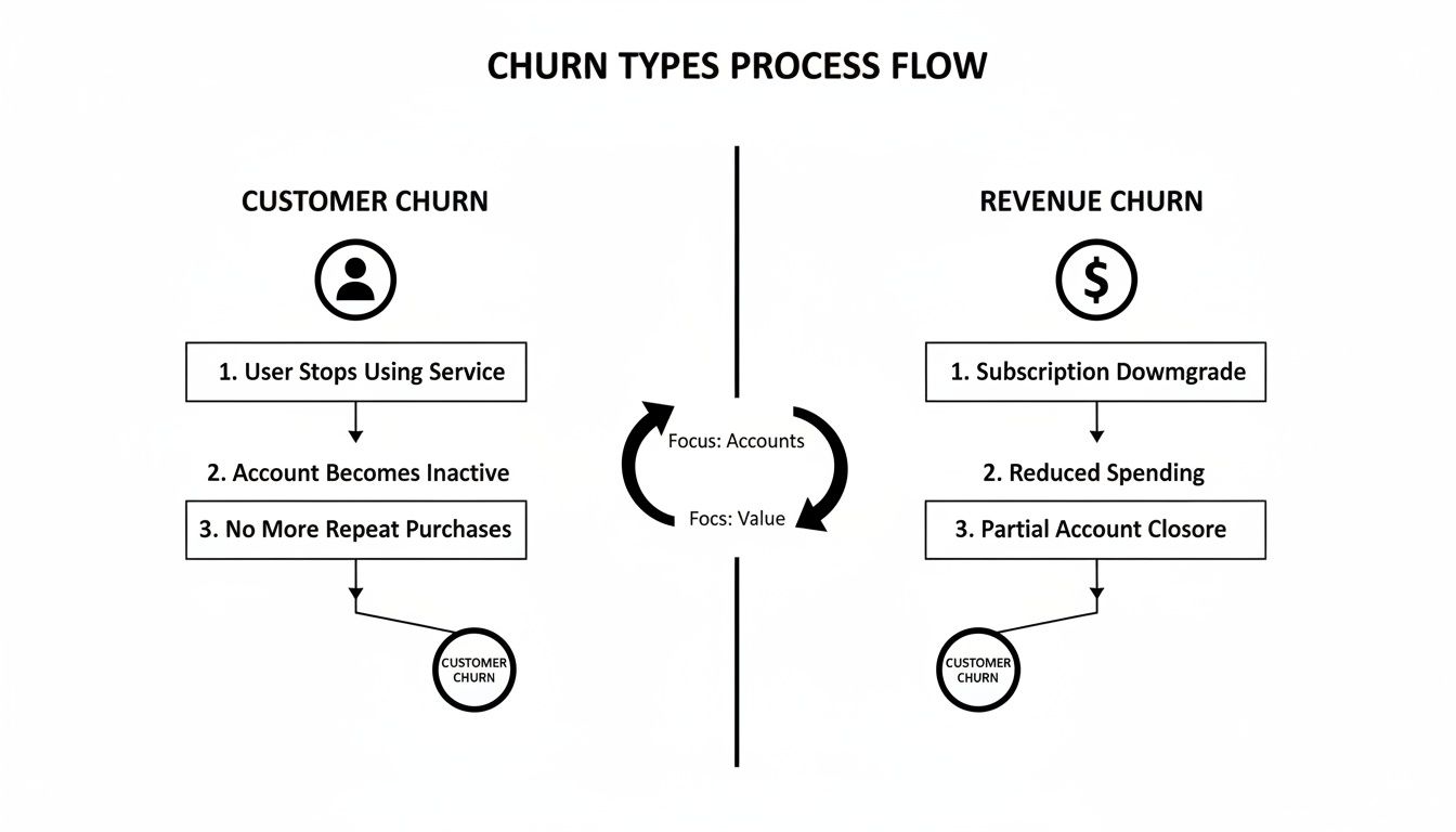 Diagram illustrating customer and revenue churn types with their respective process flows and focus areas.