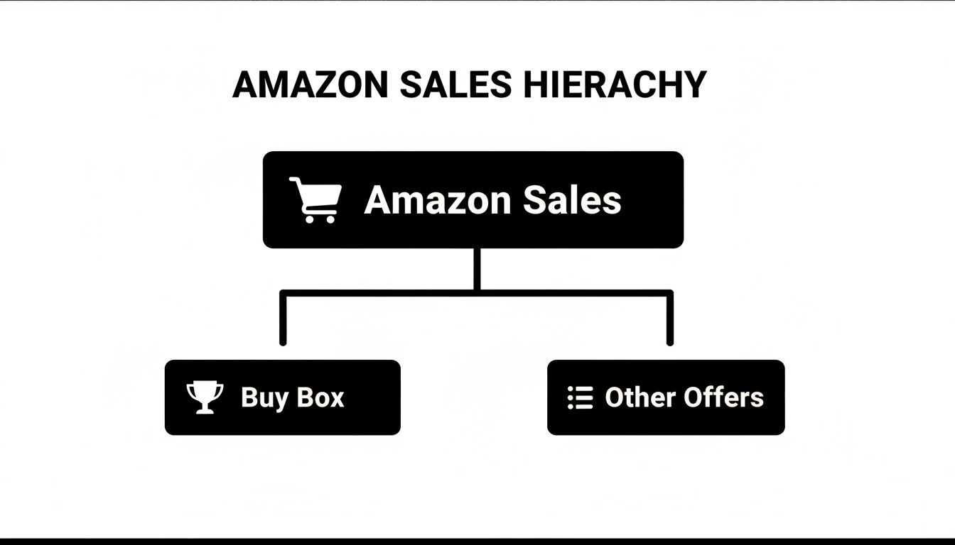 A diagram illustrating the Amazon sales hierarchy, featuring Buy Box and Other Offers.