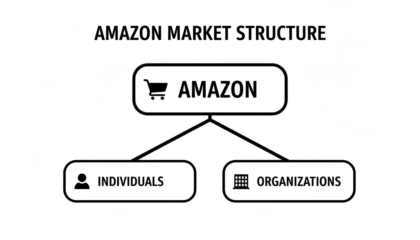 A diagram illustrating Amazon's market structure, showing its customers as individuals and organizations.