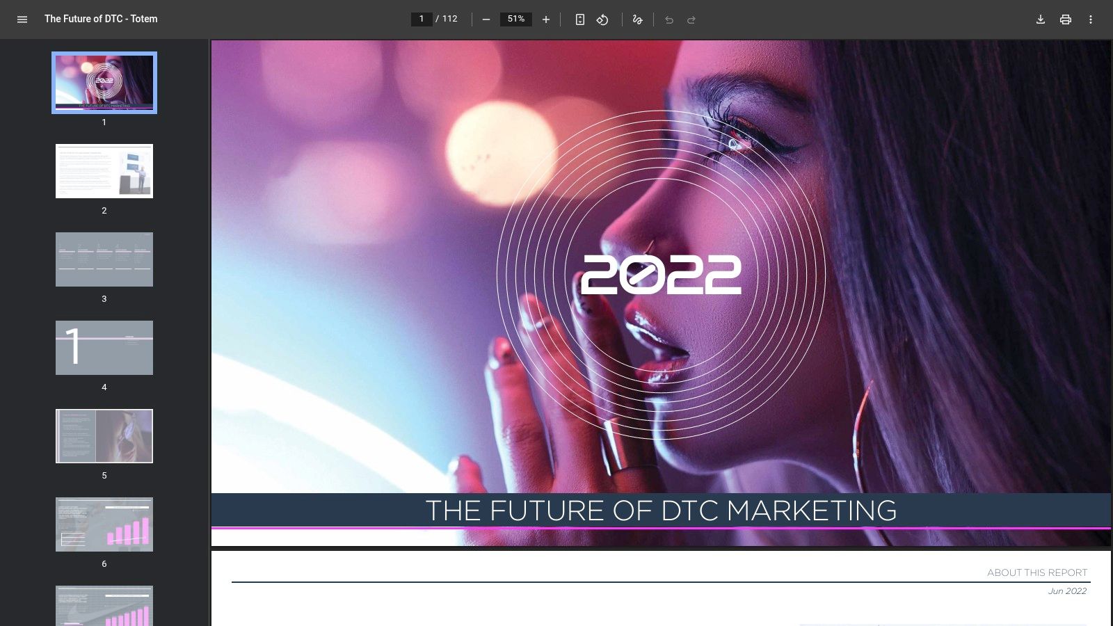 TOTEM (Talk to Totem), The Future of DTC: Top 200 Global DTC Brands