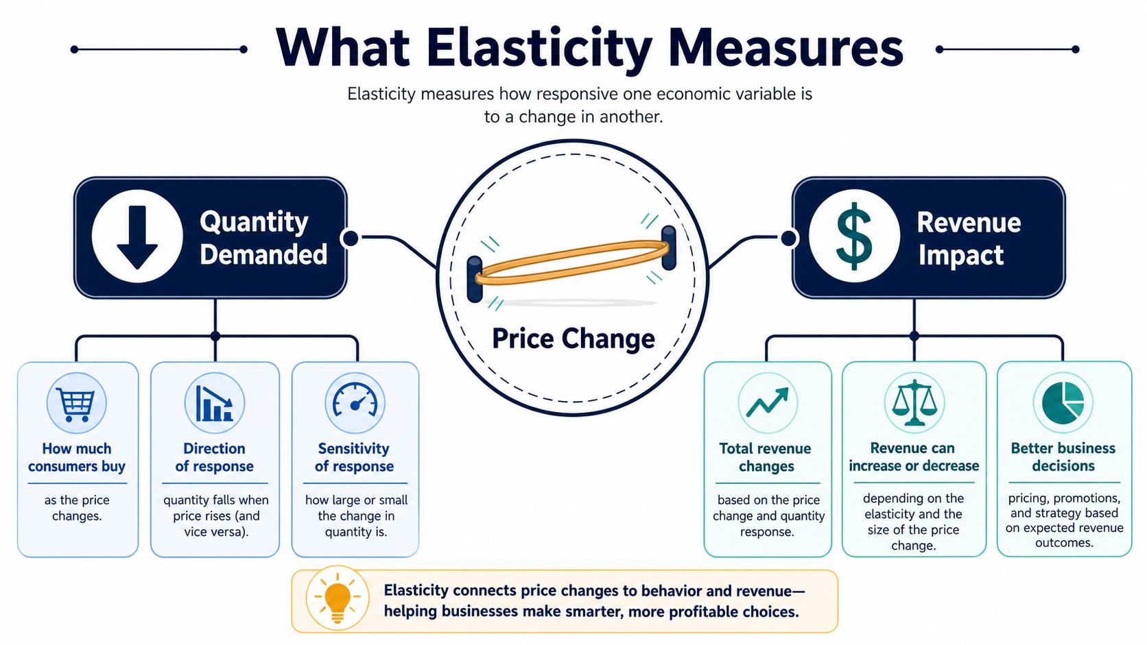 An infographic titled What Elasticity Measures, illustrating how price changes affect quantity demanded and business revenue impact.