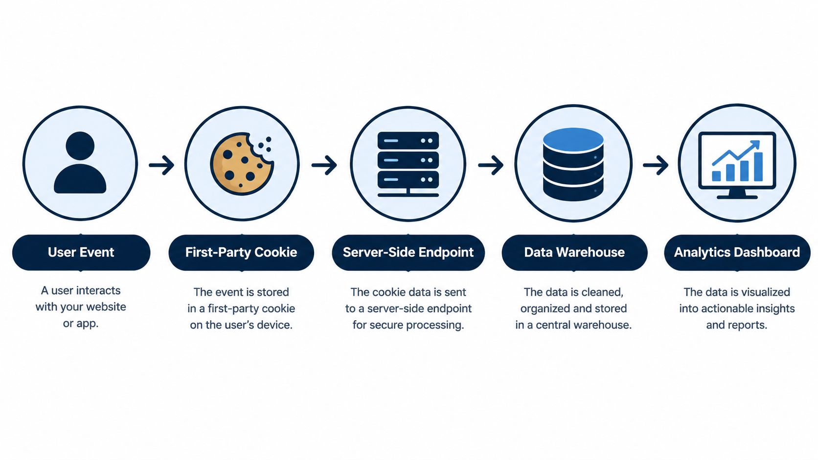 A five-step diagram showing the process of tracking user website interactions into analytics dashboards and reports.