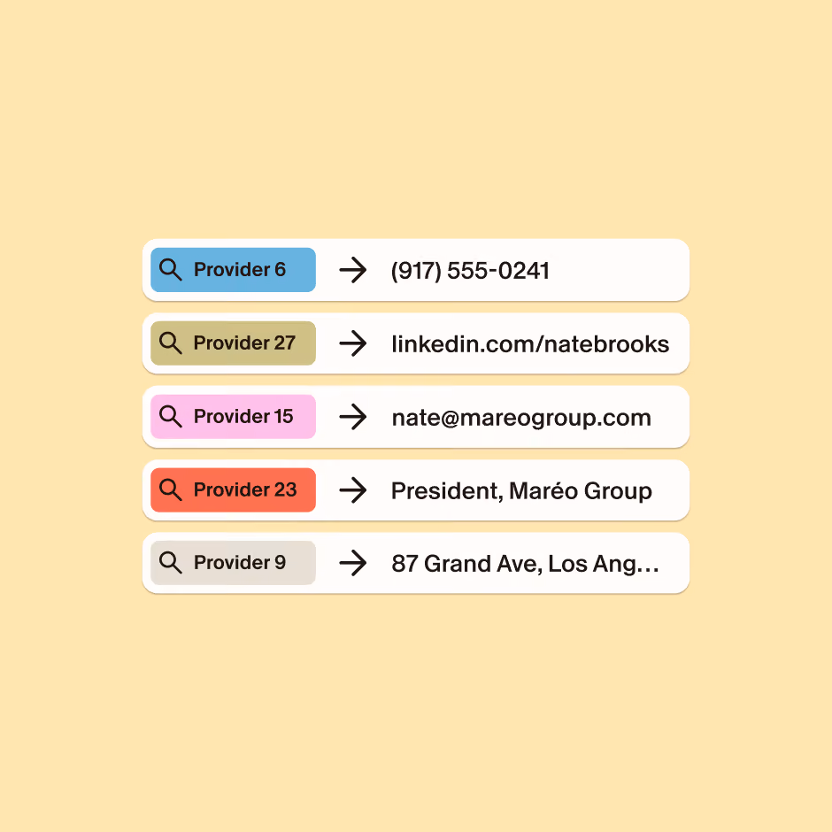 List of providers with search icons and colored labels showing contact details: Provider 6 phone number (917) 555-0241 in blue, Provider 27 LinkedIn linkedin.com/natebrooks in olive, Provider 15 email nate@mareogroup.com in pink, Provider 23 title President, Maréo Group in red, Provider 9 address 87 Grand Ave, Los Angeles in gray.