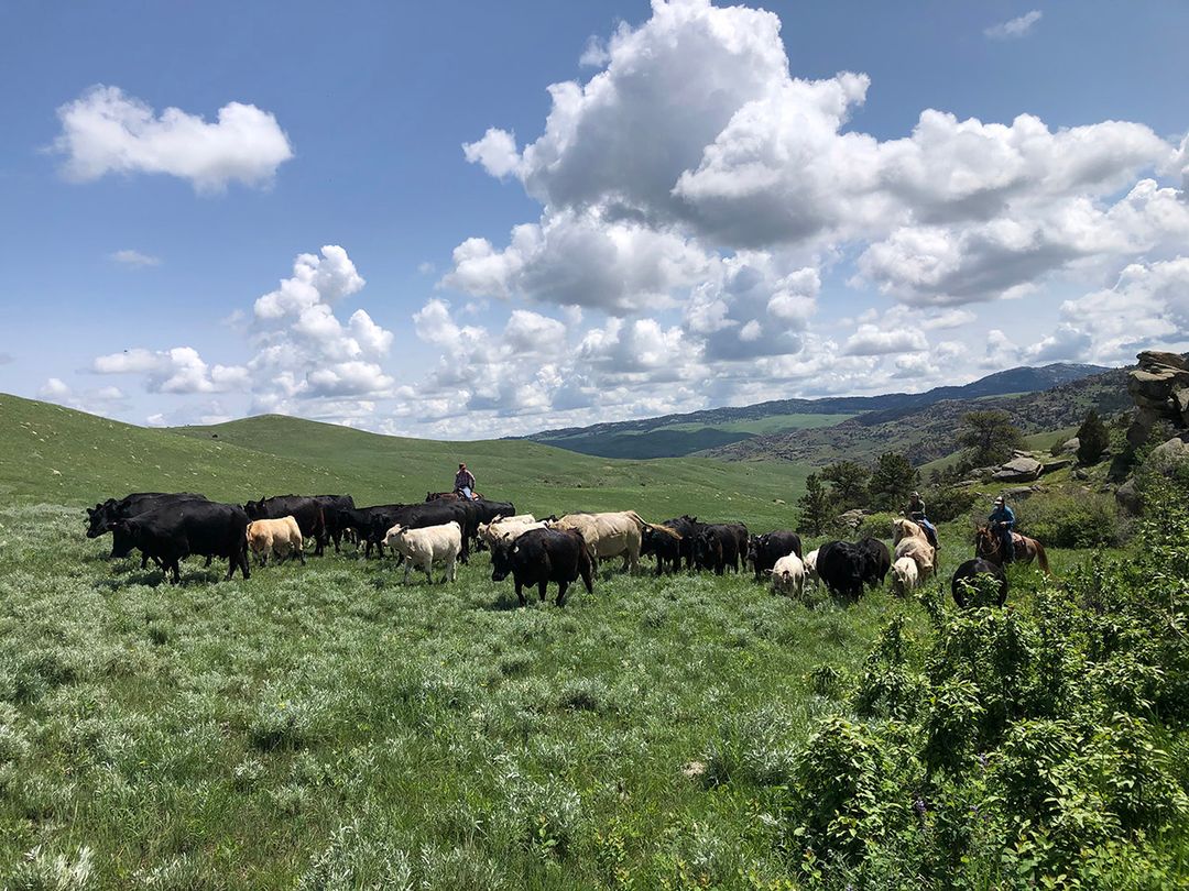 Our Place at the Powderhorn Ranch | Douglas, Wyoming