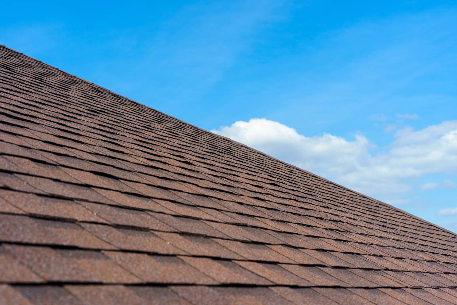Brown shingle roof under blue sky.