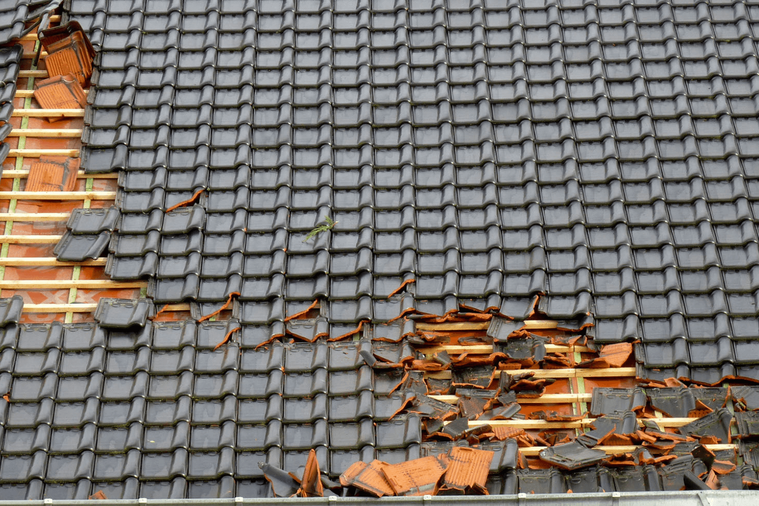 Damaged black tiled roof.