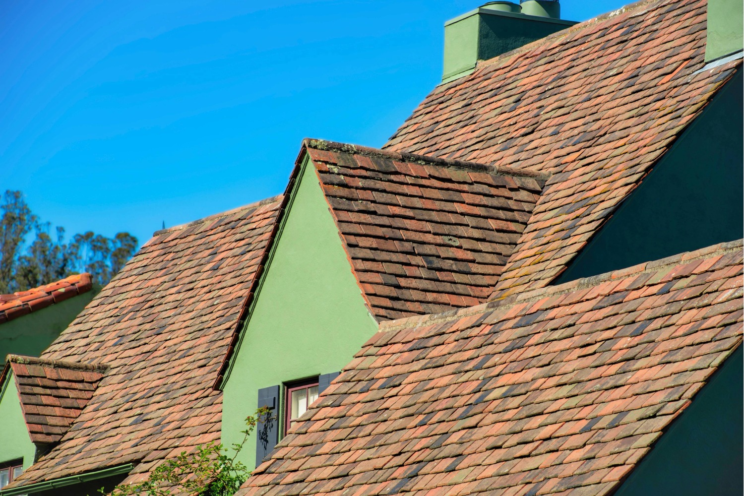Green house with brown shingle roof.