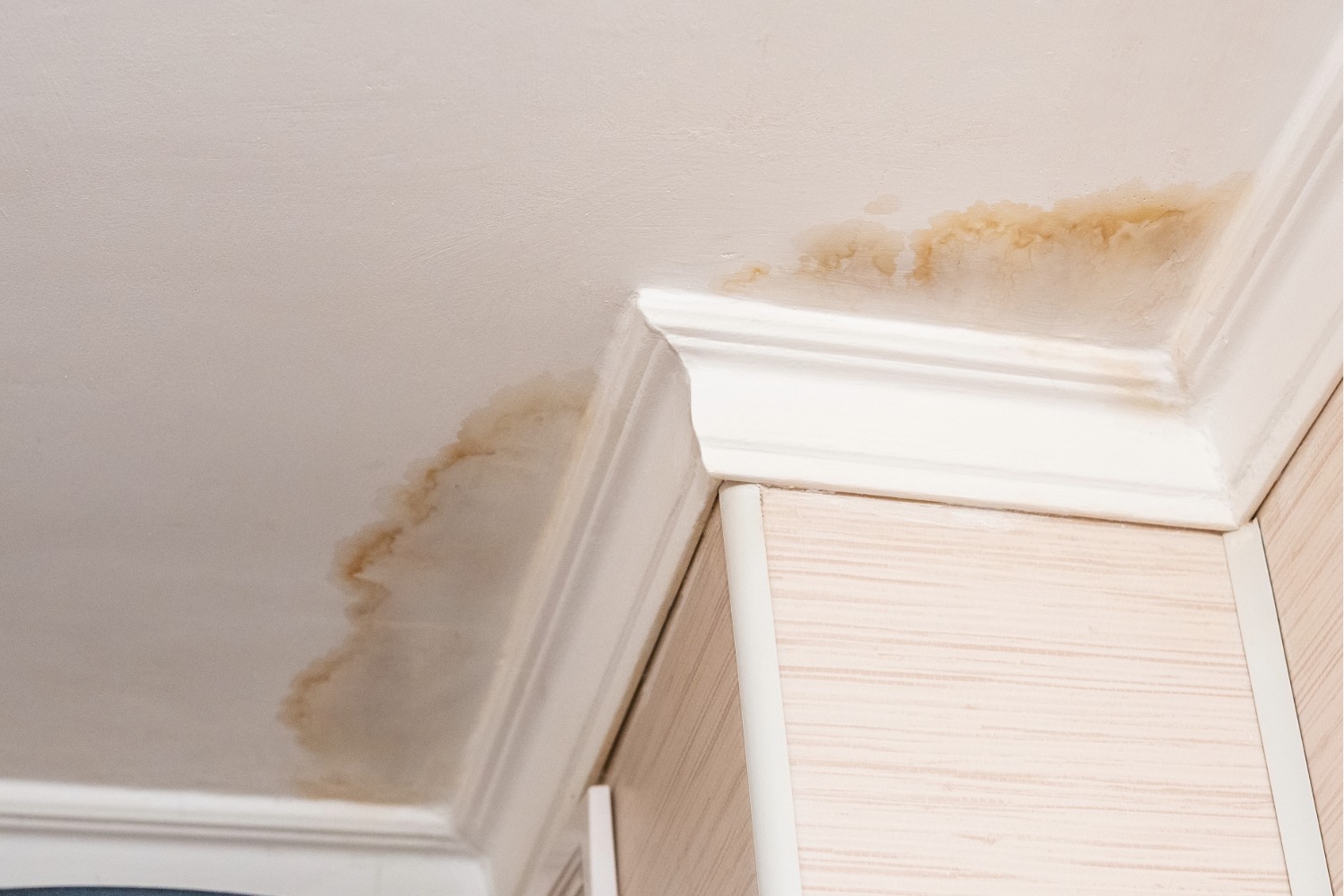 Water-stained ceiling near crown molding.